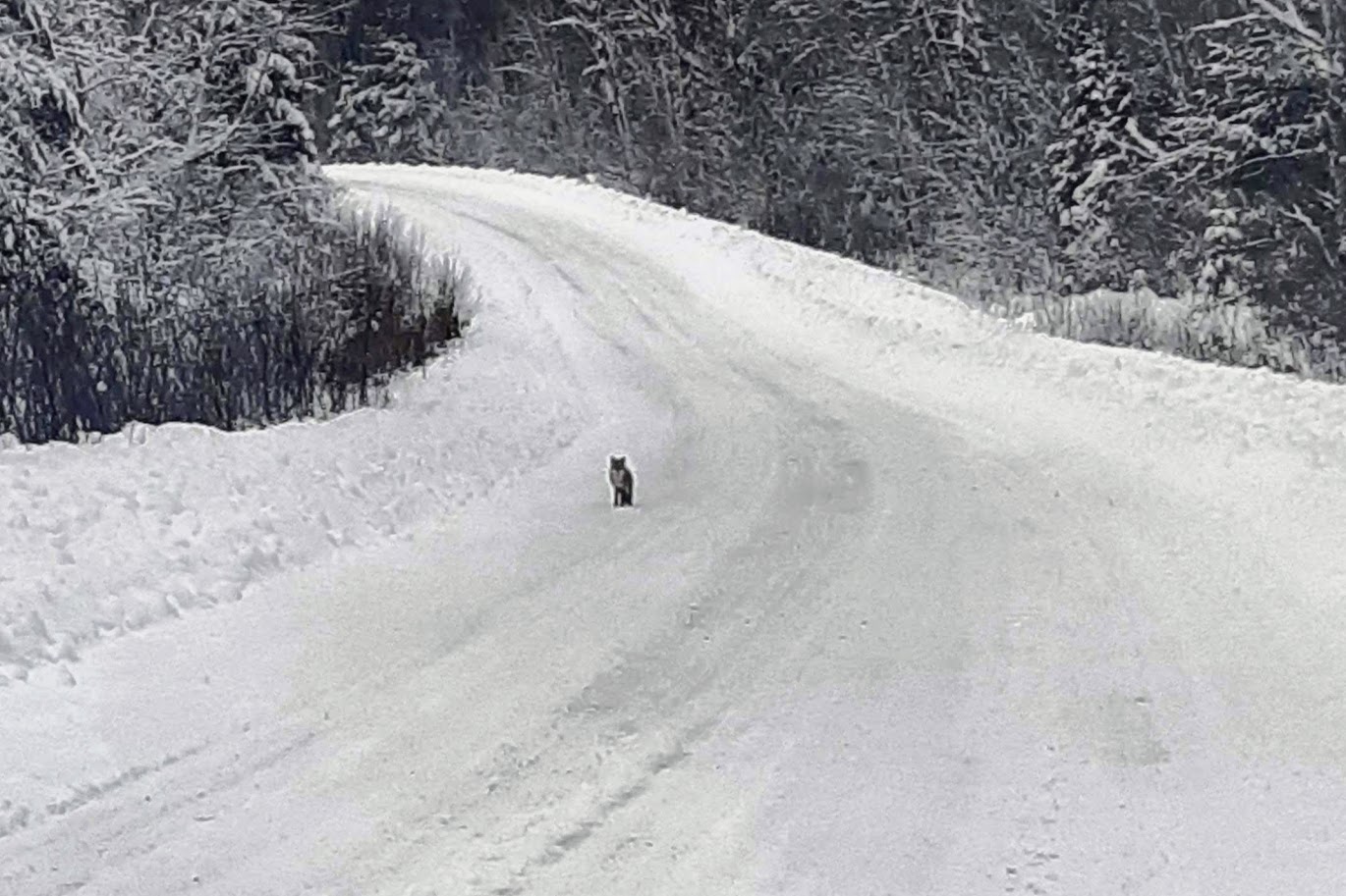 Cycliste saluant sur un chemin enneigé